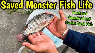 Saving Monster Fish Life 😥from Fish Market🤨| Big Fish for Aquarium | River Fish Collection