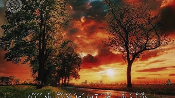 ﴿يوم نحشر المتقين إلى الرحمن وفدا﴾ بصوت القارئ عمر عبدالله