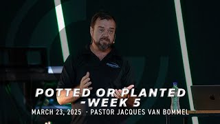 Rooted in Faith: The Power of Integrity and Miracles