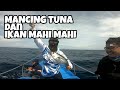 PANEN!!! - MANCING TUNA DAN IKAN MAHI MAHI - ASLI MANCING MANIA MANTAP - part 01 #107 #aslimancing