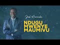 LIFE WISDOM : NDUGU MWENYE MAUMIVU - JOEL NANAUKA