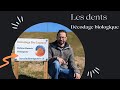 Les problmes de dents  dcodage biologique