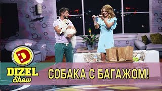 Собака с багажом! | Дизель cтудио