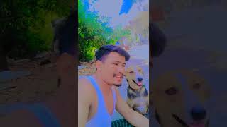 bechaini meri dhadkan ek bar Na Ho jaaye #song #shortmusic #shortmusic #punjabimusic #indianindie