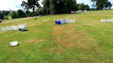 Duck Herding with Chris Farris Events