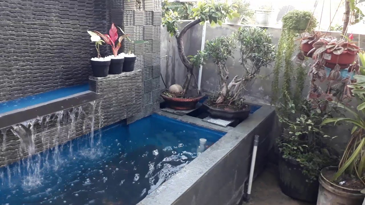kolam ikan koi kita ya..😊😀😁😎 - YouTube