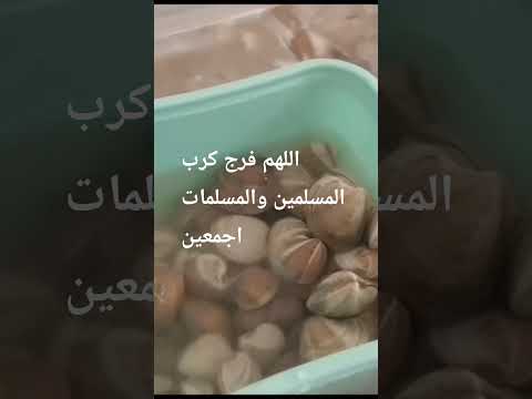 معجزات اللهم صل وسلم على نبينا محمد المصحف اكسبلور الرحمن تيك توك  طبخ رمضانمبارك