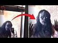 5 SCARY GHOST Videos That Will LEAVE You GHOSTMATIZED!