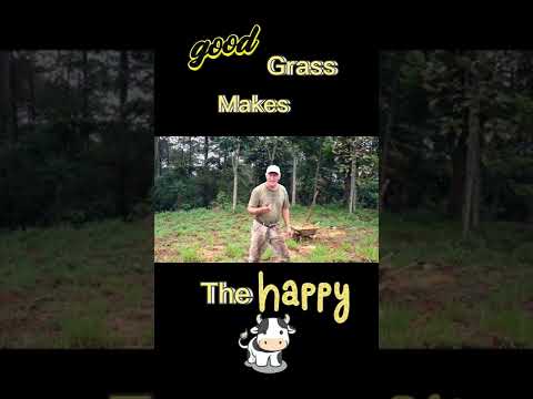 Bule ini Cuan Besar dari Hasil Bertani Rumput