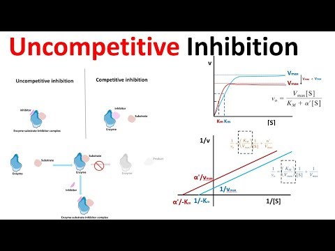 Wideo: Kiedy niekonkurencyjna cząsteczka inhibitora wiąże się z?