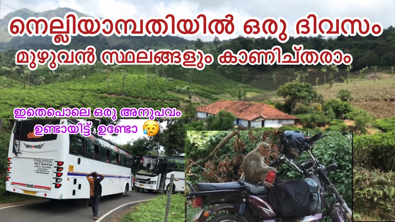 nelliyampathy-one-day-trip-palakkad-kerala-2023-youtube