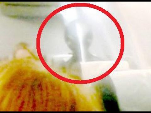 FOTOGRAFIA A UN EXTRATERRESTRE DENTRO DE UN AVIÓN - EXPLICACIÓN
