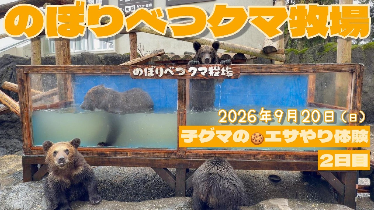 クマちゃん牧場 2026/09 ② Bear Cub Feeding Experience⭐Day 2 - YouTube