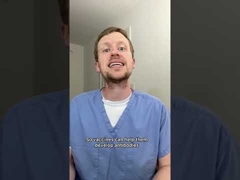 How Do Vaccines Protect My Patients 