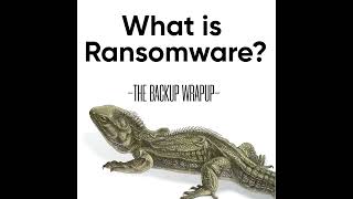 What Is Ransomware and Why Should You Care