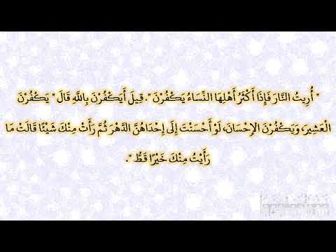 29 قال النبي أريت النار فإذا أكثر أهلها النساء يكفرن قيل أيكفرن بالله يكفرن العشير و