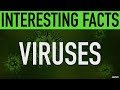 Interesting Virus Trivia Facts | Learn Something New About Viruses