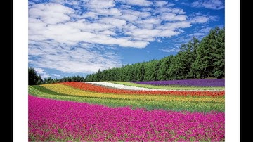 Calculus III, Lecture 4i, Directional Derivatives and Gradients, Part 1