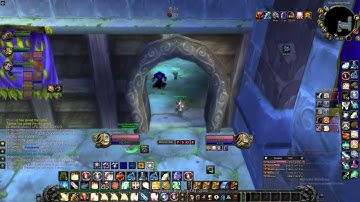 Turtle WOW,retribution paladin in WSG - paladins vs druids