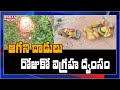 Miscreants vandalise Lord Hanuman idol in Andhra Pradesh