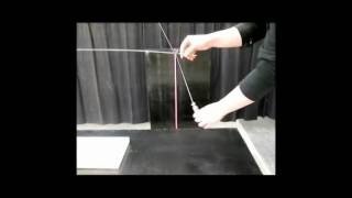 3A70.u3 - Bi frequency Pendulum Movie