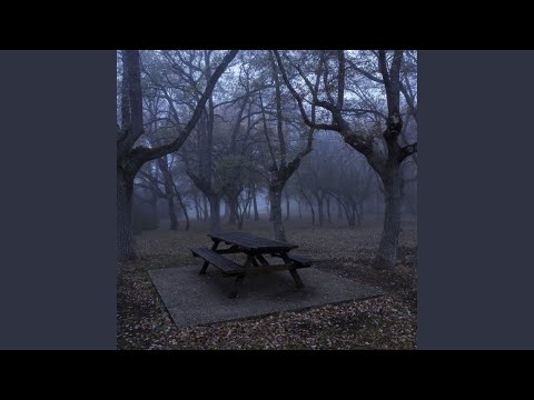 cardigan (instrumental slowed & reverb with rain)