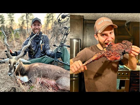 Video: Je antilopa blackbuck dobrá k jídlu?