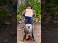 Survival Skills: Single mom show SMART ideas and USEFUL with noodles in forest #camping #bushcraft