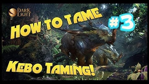 DARK AND LIGHT! HOW TO TAME, TAMING KEBO EP3