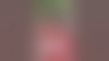 April 12 2025 