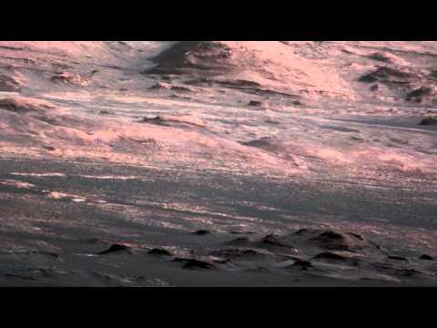 Infinity Frequencies - Lotus Bloom