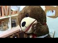 Q&A 質問コーナー!回答編だよ♪