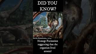 A New Species Of Alvarezsaurid Has Been Discovered In Monia