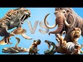 Top best battles in the animal world  who deserves to be king