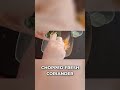 Flavorful Moroccan Stuffed Chicken &amp; Chermoula!