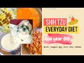 Siya's Current Food Routine | One Year Old Shih Tzu の動画、YouTube動画。