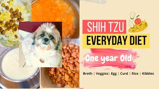 Siya's Current Food Routine | One Year Old Shih Tzu