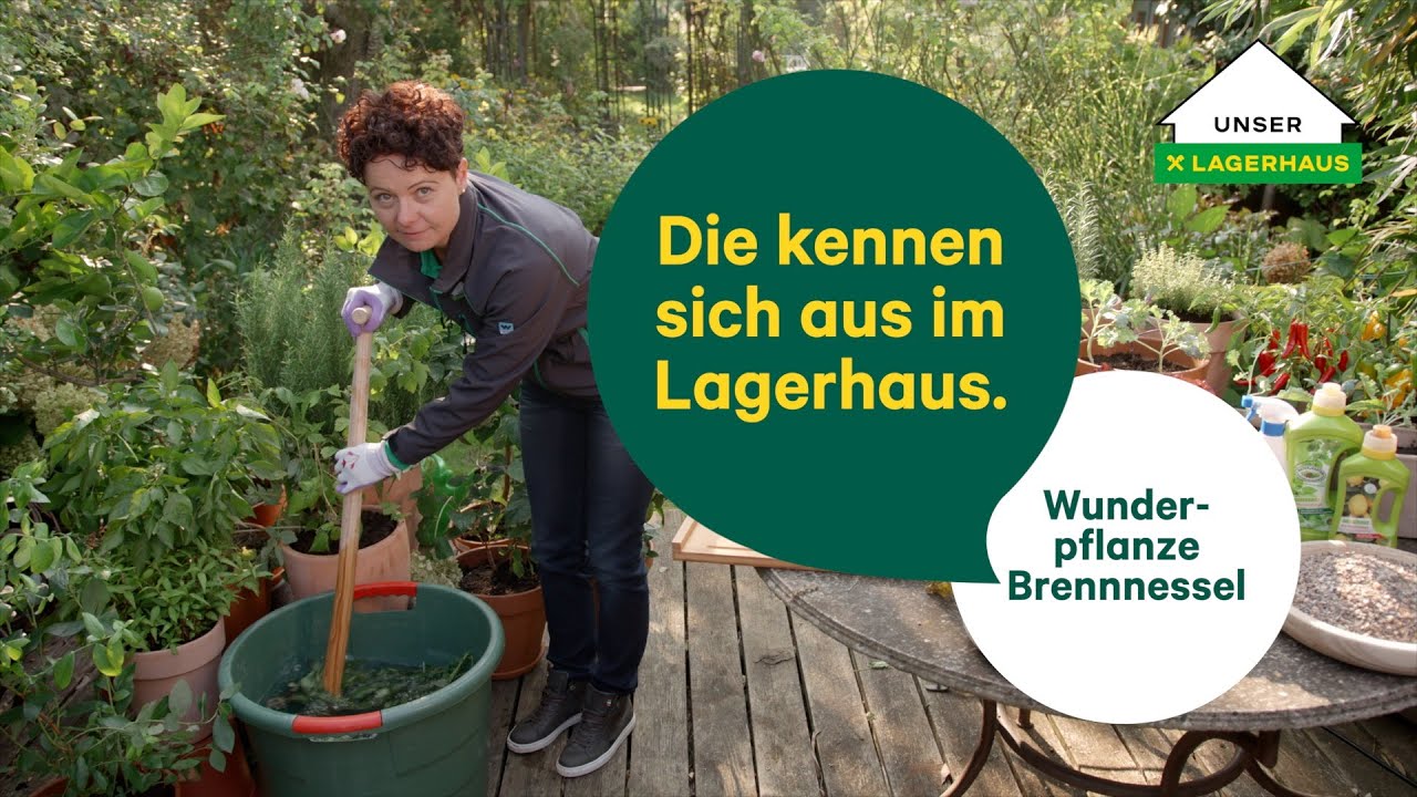 palmen dngen pflegen Purgrn Hanfpalmen-Dnger 1 Liter