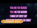 The Reason (Karaoke Lower Key) - Celine Dion