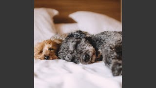Night Magic - The Jealous Tigress Tavern
