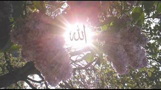 HASAN POLAT YAZAR YAZAR KALEMİM.wmv