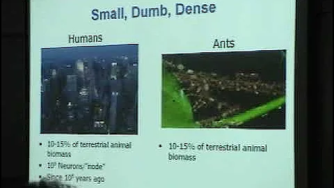 Smart Networks of "Dumb" Sensor Nodes Using Distri...