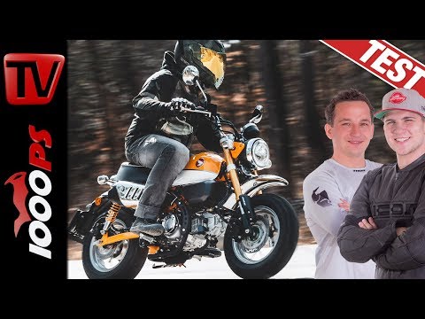 Honda Monkey 2019 - Fahrspaß garantiert! Das Funbike im Test! Honda Monkey 2019 - Fahrspaß garantiert! Das Funbike im Test!