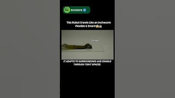 Meet the Crawling Soft Robot 🐛🤖 Nature-Inspired & Adaptive!#robots #science #technology #innovation