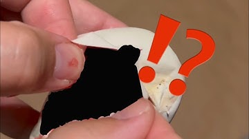 Python Egg Cutting; SURPRISE 🤩