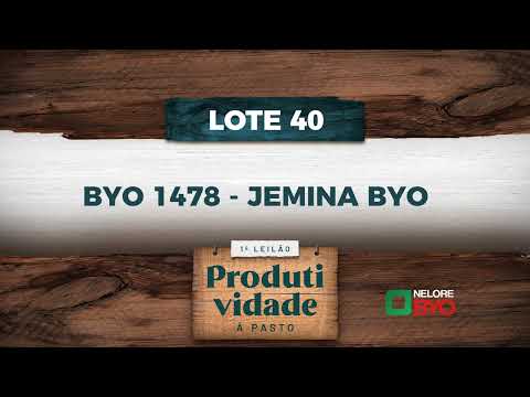 LOTE 40   BYO 1478