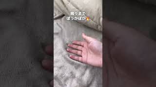 【.:｡ ゜ふとんぽかぽか.:｡ ゜】ふとん乾燥機ハイパワーツインノズル 　#アイリスオーヤマ #ふとん乾燥機