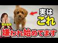 【要注意】犬が“嫌いな人”だけに見せる、衝撃のサイン10選
