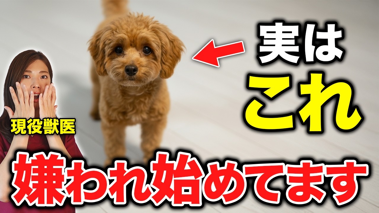 【要注意】犬が“嫌いな人”だけに見せる、衝撃のサイン10選