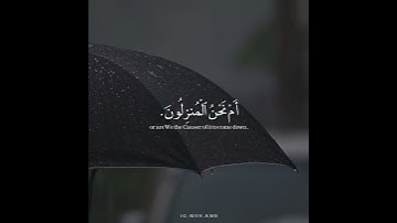 (أفرأيتم الماء الذي تشربون)♥️للقارئ شريف مصطفى🎧تلاوة عجيبة🔥خاشعة💙رهيبة🌹 ماشاء الله🌿